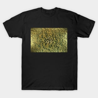 Abstract meadow background T-Shirt